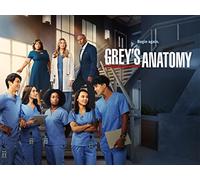 Grey's Anatomy Season 19