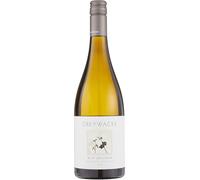 Greywacke Wild Sauvignon White Wine | 6 Pack | New Zealand Marlborough Sauvignon Blanc | 13.5% ABV | Premium Dry White Wine | 6 x 75cl