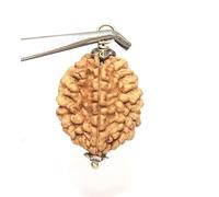 GRI9 2 Mukhi/Faced Nepali Rudraksha Silver Pendant 100% Natural, Original & Certified Astrological Rudraksha Beads Unisex Both for Men & Women