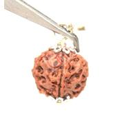 GRI9 5 Mukhi Rudraksha Pendent, 18 MM Beads 100% Original & Certified (Spiritual and Healing Product) Unisex Both For Men & Women