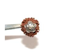 GRI9 7 mukhi/Seven Faced Original Nepal Rudraksha (Brown Round Bead) with Lab Certificate