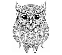 Grid notebook with coloring cover - 06 - Owl: 120 pages