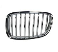 BLIC 6502-07-0067991GP Radiator Grille