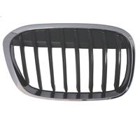 BLIC 6502-07-0082994MP Radiator Grille