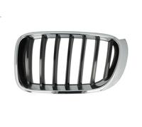 BLIC 6502-07-00939933P Radiator Grille