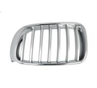 PRASCO BM8062014 Radiator Grille