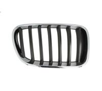 PRASCO BM8042003 Radiator Grille