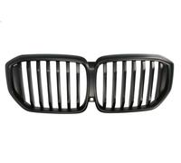 Grille BLIC 6502-07-0098990P for BMW X5 (G05, F95) 3 2023-