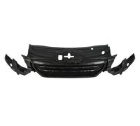 BLIC 6502-07-0914996P Radiator Grille for DODGE