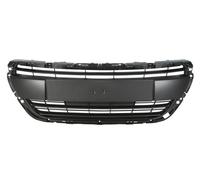 Grille Fits: PEUGEOT 208 03.12-06.15