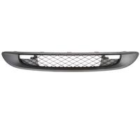 Grille Fits: SMART FORTWO 451 01.07-07.14