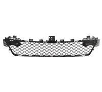 Grille Ventilation Grille Front Fits: MERCEDES C-CLASS W204 03.11-12.13