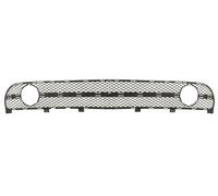 Grille Ventilation Grille Front Fits: VW NEW BEETLE 9C 01.01-05.05