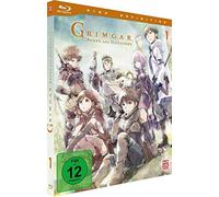 Grimgar, Ashes and Illusions: Vol. 1