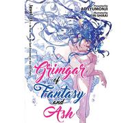 Grimgar of Fantasy and Ash (Light Novel) Vol. 11: At That Time, We Each Dreamed on Our Owne Paths