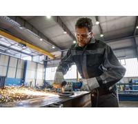 Grinders BOSCH 0 601 3A6 100