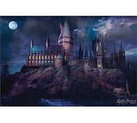 Grindstore Harry Potter Laminated Hogwarts Maxi Poster Large Wall Art Print 91.5x61cm, Wall Decor for Home Office Classroom, Gift Idea