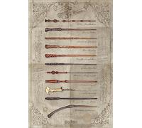 Grindstore Harry Potter Laminated The Wand Chooses the Wizard Maxi Poster Large Wall Art Print, Wall Decor, Home Office Classroom Decoration, Gift Idea, Decorative Print 91.5x61cm