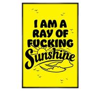 Grindstore I Am A Ray Of Fucking Sunshine Maxi Poster - Black Gloss Framed - Framed Poster Print, Wall Decor/Art, Home Gift Idea, For Living Room, Bedroom, Home or Office Display