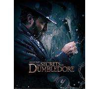 Grindstore Laminated Fantastic Beasts The Secrets of Dumbledore (Dumbledore Watch) Mini Poster