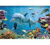 Grindstore Laminated Tropical Dolphins Maxi Poster Large Wall Art Print, Wall Decor, Home Office Classroom Decoration, Gift Idea, Decorative Print 91.5x61cm