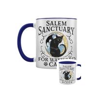 Grindstore Salem Sanctuary for Wayward Cats Blue Inner 2-Tone Mug