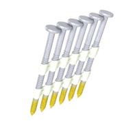 Grip Rite Prime Guard GR04HG1M 21 Degree Plastic Strip Round Head Hot Dipped Galvanized Collated Framing Nails, 2" x 0.113"
