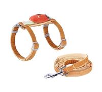 GRIRIW 1 Set Adorable Cartoon Carrot Cat Harness with Leash Lightweight Cat Accessory for Easy Control During Walks and Training for Outdoor Adventures
