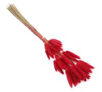 GRIRIW 60pcs Natural Dried Rabbit Tail Grass Dark Red Wedding Decor, Bunny Tails Dried Grass Bouquet for Home DIY Flower Arrangements and Boho Event Decoration