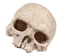 GRIRIW Aquarium Skull Resin Ornament Realistic Cave Decoration for Fish Tanks and Reptile Homes and Safe Resin Material for Bearded Dragons and Snakes Aquarium Decor