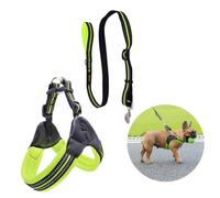 GRIRIW Breathable Reflective Dog Harness Vest with Adjustable Hauling Cable Fruit Green Pattern Cooling Pet Leash for Walking Running Daily Use