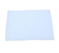 GRIRIW Cozy Guinea Pig Mat Ultra-absorbent Fleece Blanket Bath Towel Pet Bedding Warm Comfortable Cage Liner for Small Animals