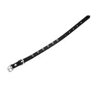 GRIRIW Durable Adjustable Dog with Rivets Stylish Pet Neck Decor for Dogs for Walks and Outdoor Adventures