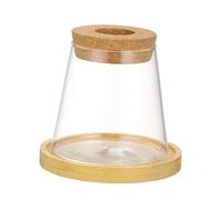 GRIRIW Glass Propagation Vase Hydroponic Plant Pot Decorative Desktop Planter for Home and Office Space-saving Design