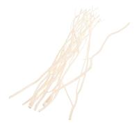 GRIRIW Mini Essential Oil Diffuser Sticks 10pcs Willow Branch Scent Diffuser Stick for Desktop and Room Fragrance