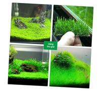 GRIRIW Stainless Steel Wire Mesh Pad Moss Net Aquarium Fish Tank Water Grass Plants Fixed Net