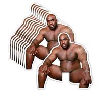 GRITKULTURE Funny Barry Wood Light Switch Decal Sticker 10 Pack for Wall Mural Prank and Decoration Waterproof Vinyl Joking Wall Stickers for Living Room, Car, Computer, Bumper