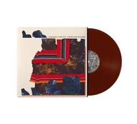 Grizzly Bear - Painted Ruins [VINYL]