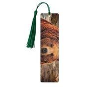 Grizzly Bear Print 5pcs Wooden Bookmarks with Tassels, Reading Page Markers Book Marks, Gifts for Men Women