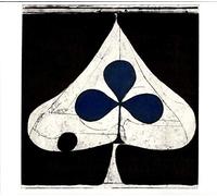 Grizzly Bear - Shields