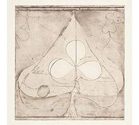 Grizzly Bear - Shields: B-Sides [12" VINYL]