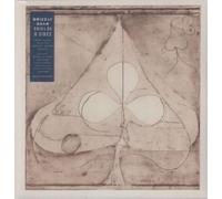 GRIZZLY BEAR: SHIELDS- B-SIDES - LP vinyl