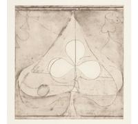 Grizzly Bear - Shields: B-Sides [12" VINYL]