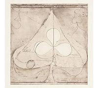 Grizzly Bear - Shields: B-Sides [12" VINYL]