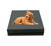 GRIZZLY FOAM 5cm/2inch Thick Dog Bed Pads, sleeping bed pads, Premium Waterproof Washable with Removeable Zipped Cover Ask Any Size (Charcoal Grey, 77x52x5cm)
