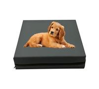GRIZZLY FOAM Dog Bed Mattress Orthopaedic Memory Foam Filled Cushion Removable Waterproof Cover for Pet Mattress Durable Bounce-Back Foam (S - L60 x W42 x H7.5cm, Charcoal)