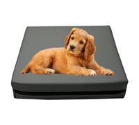 GRIZZLY FOAM Dog Bed Mattress Orthopaedic Memory Foam Filled Cushion Removable Waterproof Cover for Pet Mattress Durable Bounce-Back Foam (S-L60 x W42 x H10cm, Grey)