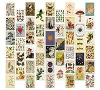GROBRO7 50Pcs Vintage Botanical Wall Collage Kit, Aesthetic Picture Indie Room Decor, Art Posters for Dorm Wall Decor, Room Art Unique Display for VSCO Girls Boys Bedroom for Primitive Creature Lovers