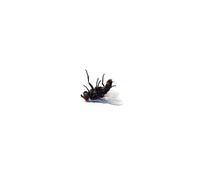 Grocer Bless Me (Vinyl) (US IMPORT)