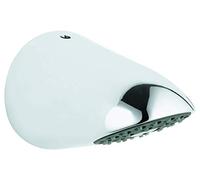 GROHE 28002000 Relexa Sports Head Shower
